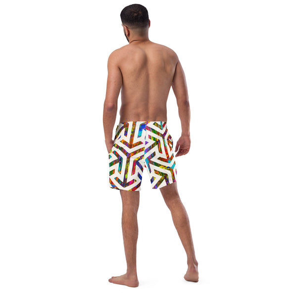 Divide and Conquer Men's swim trunks